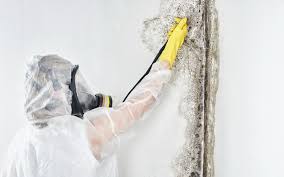 Best Residential Mold Inspection & Testing  in Sweetser, IN